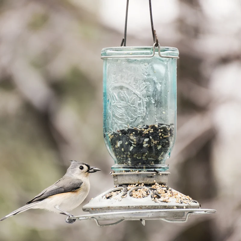 Glass Mason Jar Bird Feeder 784 - Image 2