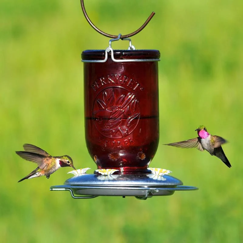 Glass Mason Jar Hummingbird Feeder 786 - Image 2