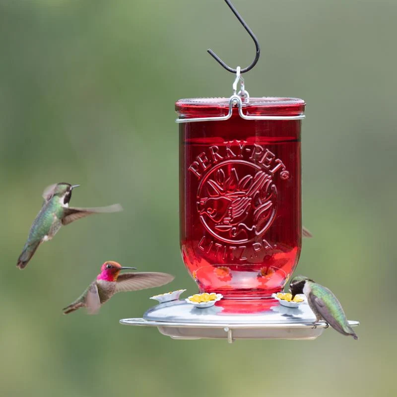 Glass Mason Jar Hummingbird Feeder 786 - Image 3