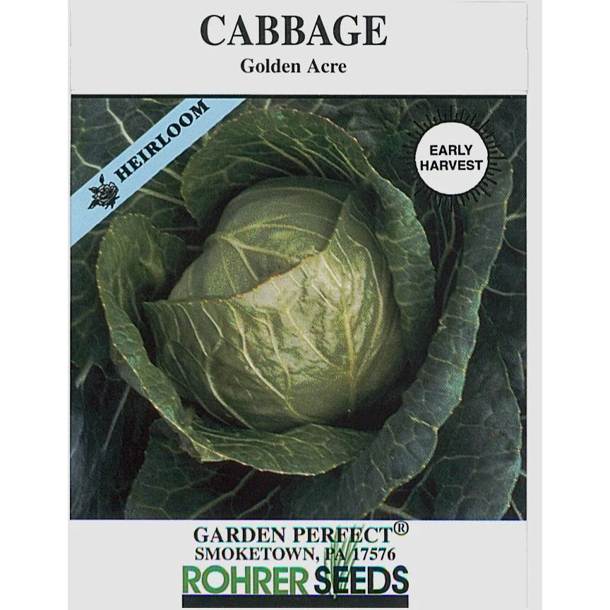 Golden Acre Cabbage Seed Pack 9901200