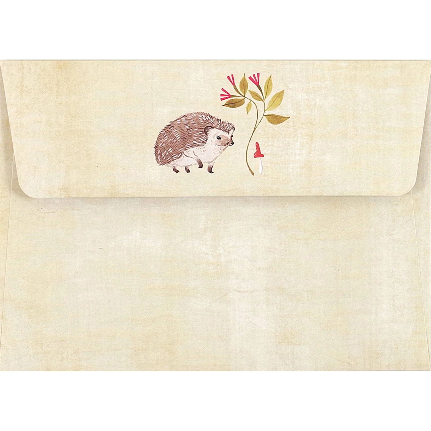 Hedgehog Boxed Everyday Note Cards Set 324610 - Image 2