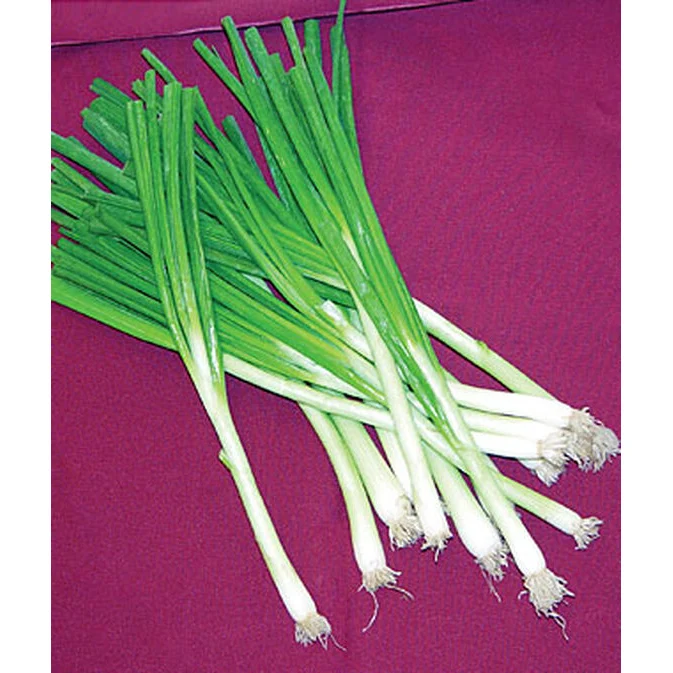 Heirloom Tokyo Long White Bunching Onion Seed Pack 65137