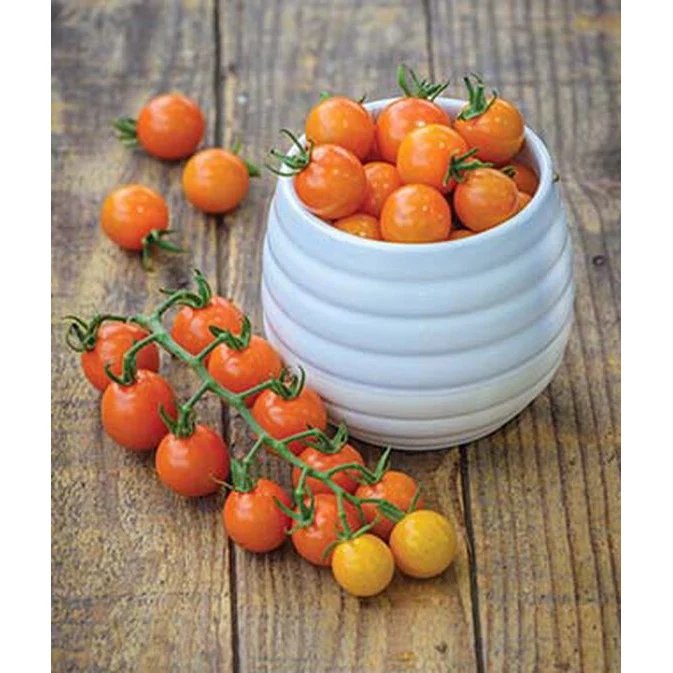 Honeycomb Hybrid Tomato Seed Pack 52881 - Image 4