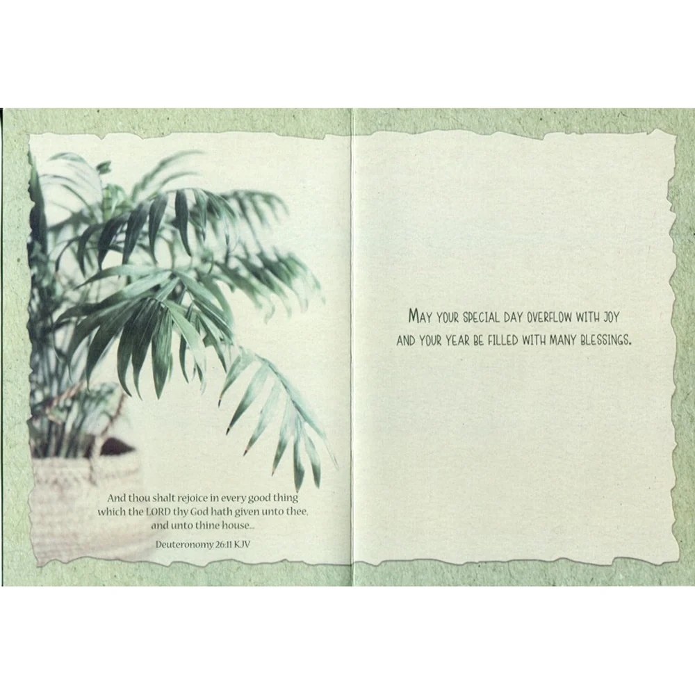 House Plants Birthday Boxed Cards FT22598 - Image 3