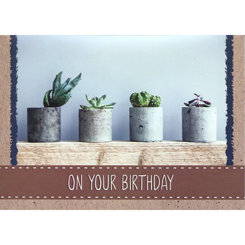 House Plants Birthday Boxed Cards FT22598 - Image 8