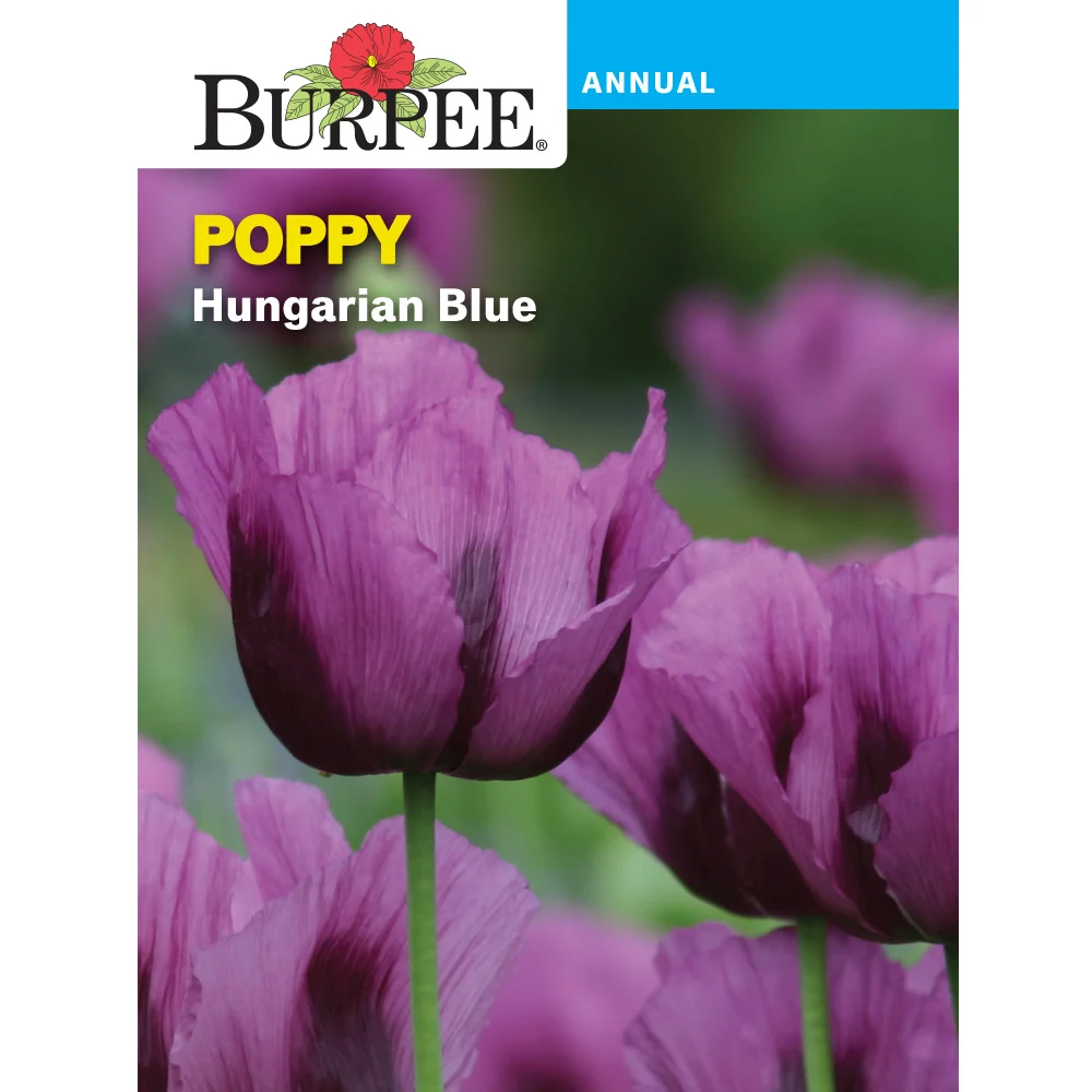 Hungarian Blue Poppy Flower Seed Pack 40652