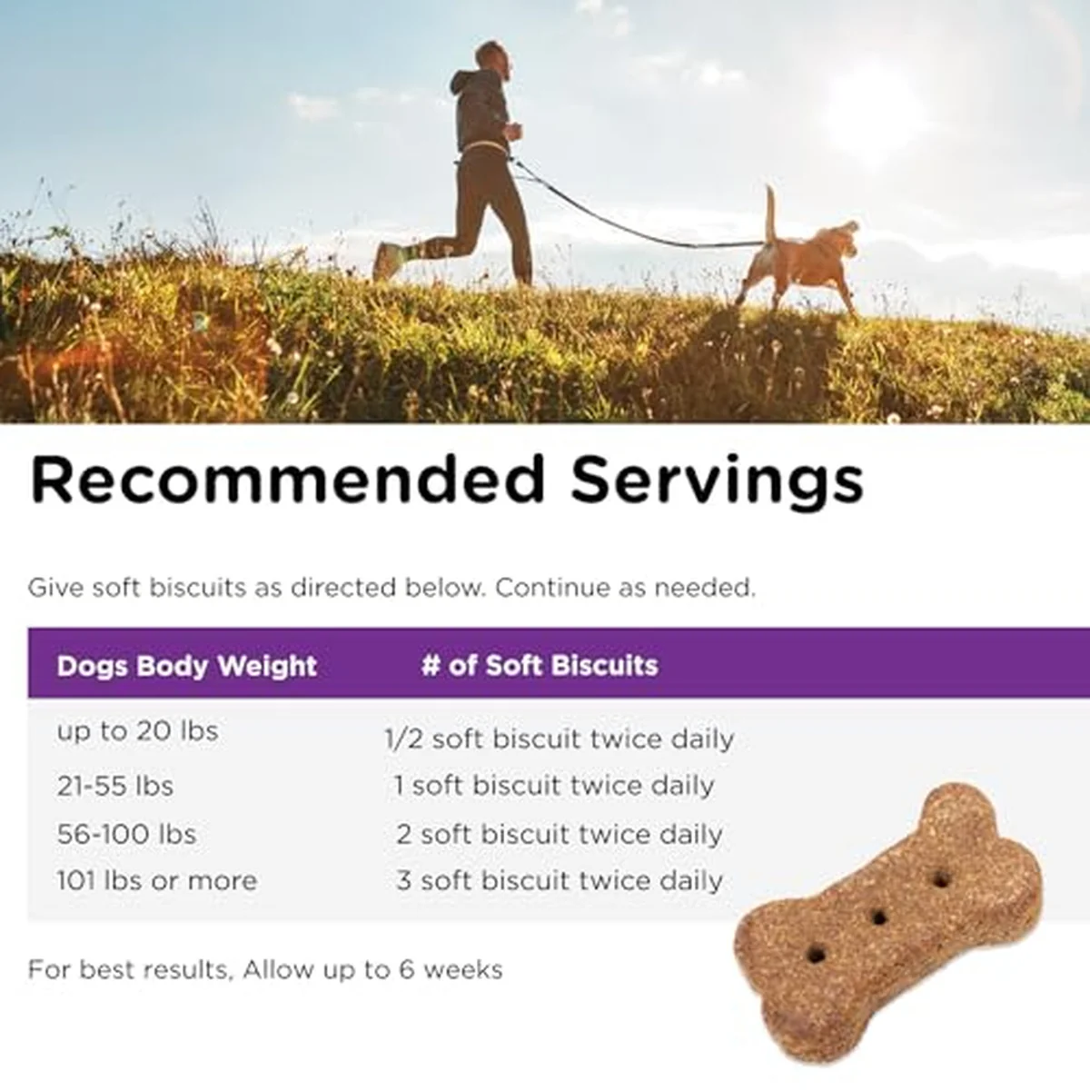 Immune and Digestive Health Biscuits for Dogs - 16 oz - Image 6