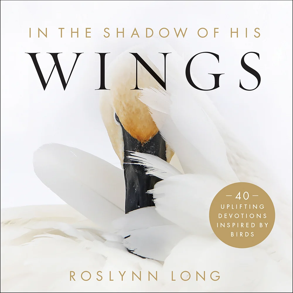 In the Shadow of His Wings 39489