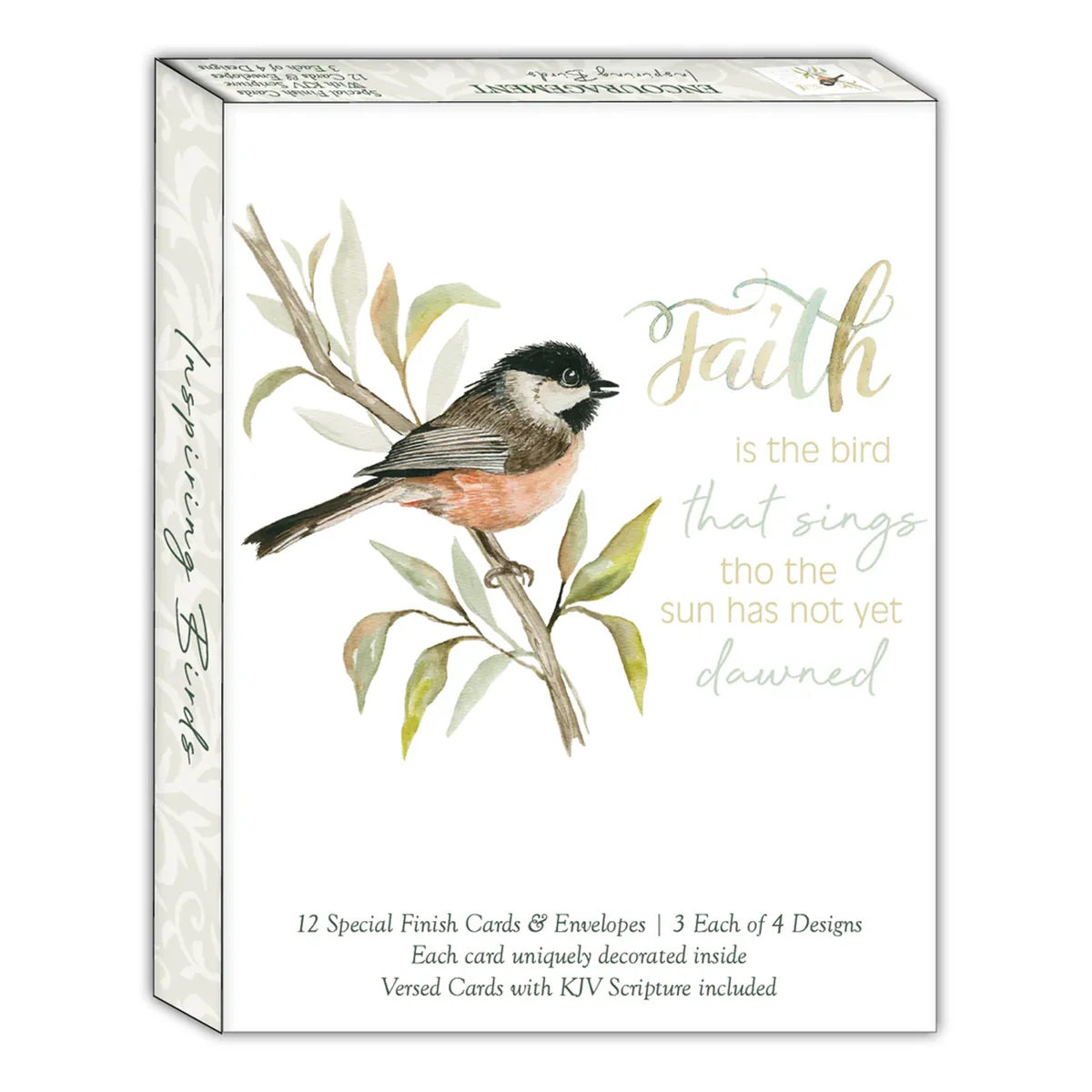 Inspiring Birds 12 Boxed Encouragement Cards SBSFEG22610