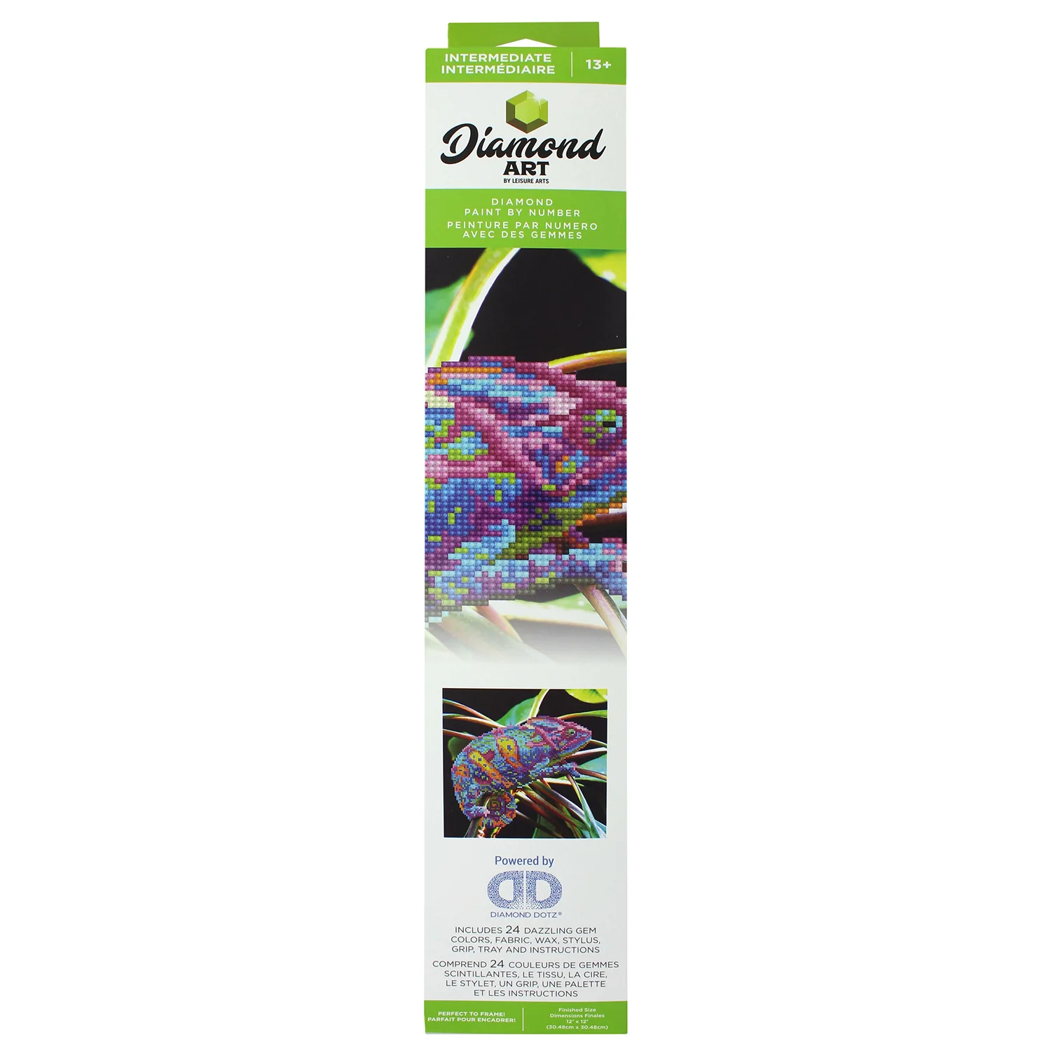 Intermediate Diamond Art Kit Chameleon DMA56774 - Image 2
