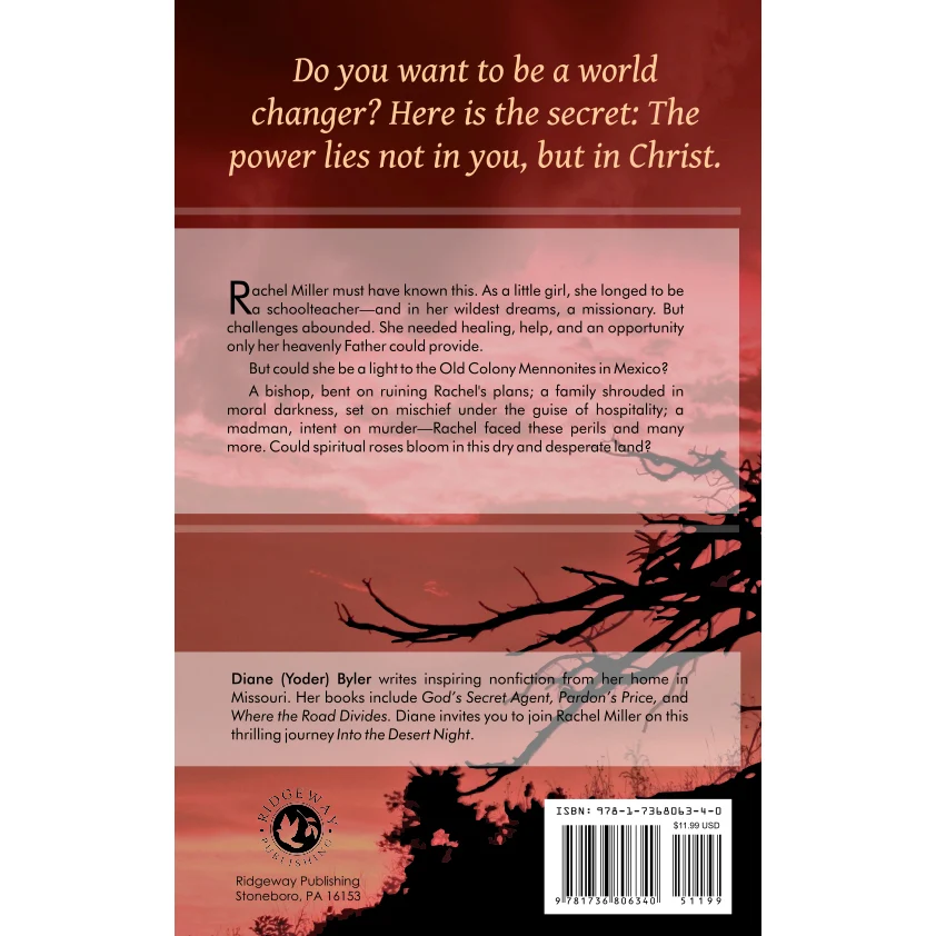 Into the Desert Night Book by Diane Yoder Byler - Image 2