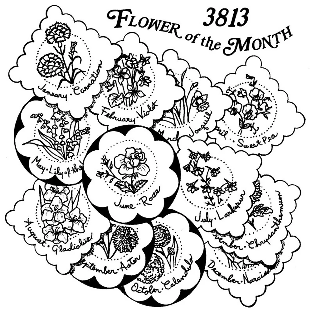 Iron-On Transfers - Image 25