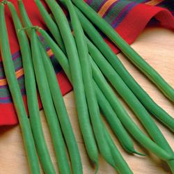 Jade Beans 9919252