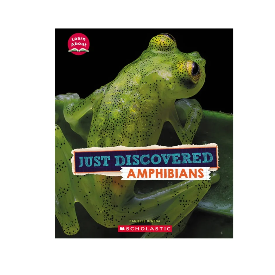 Just Discovered Amphibians 9781339020068