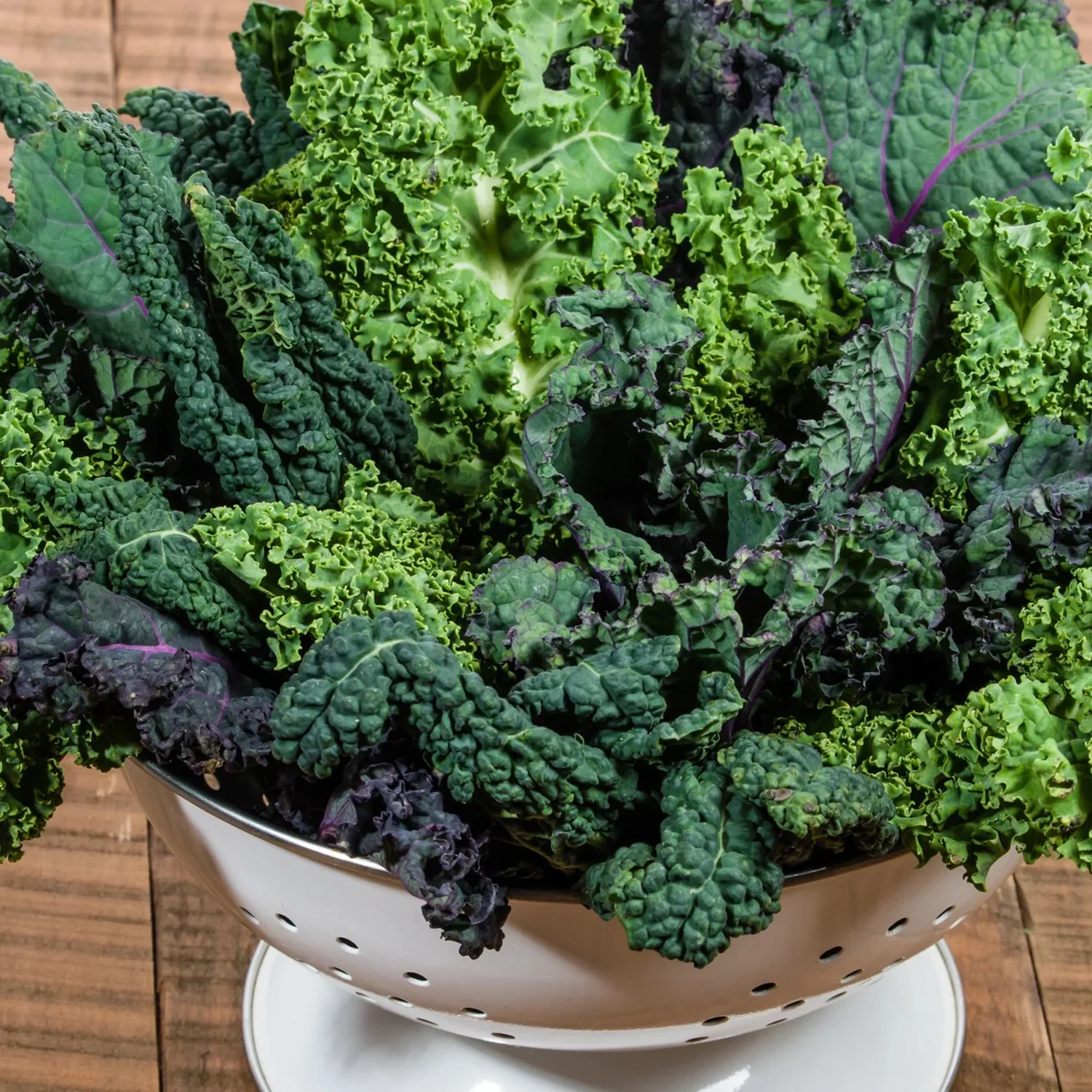 Kaleidoscope Mix Kale Seeds 61500