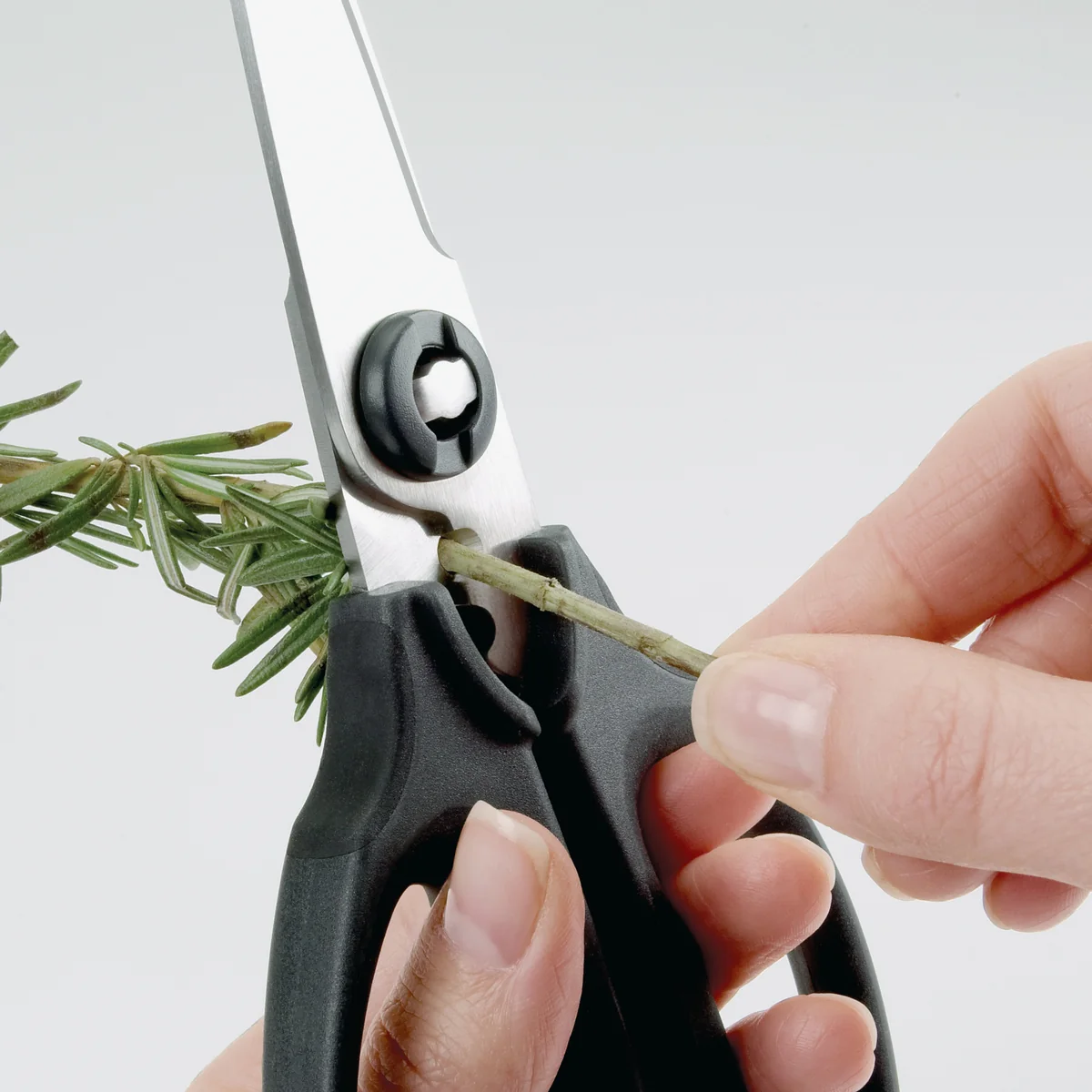 Kitchen and Herb Scissors 1072121 - Image 3