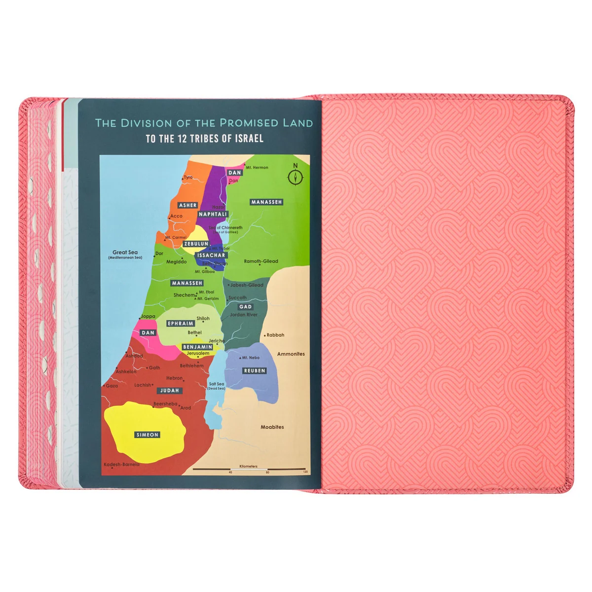 KJV Blossom Pink Heart Faux Leather Children's Bible KJV238 - Image 6