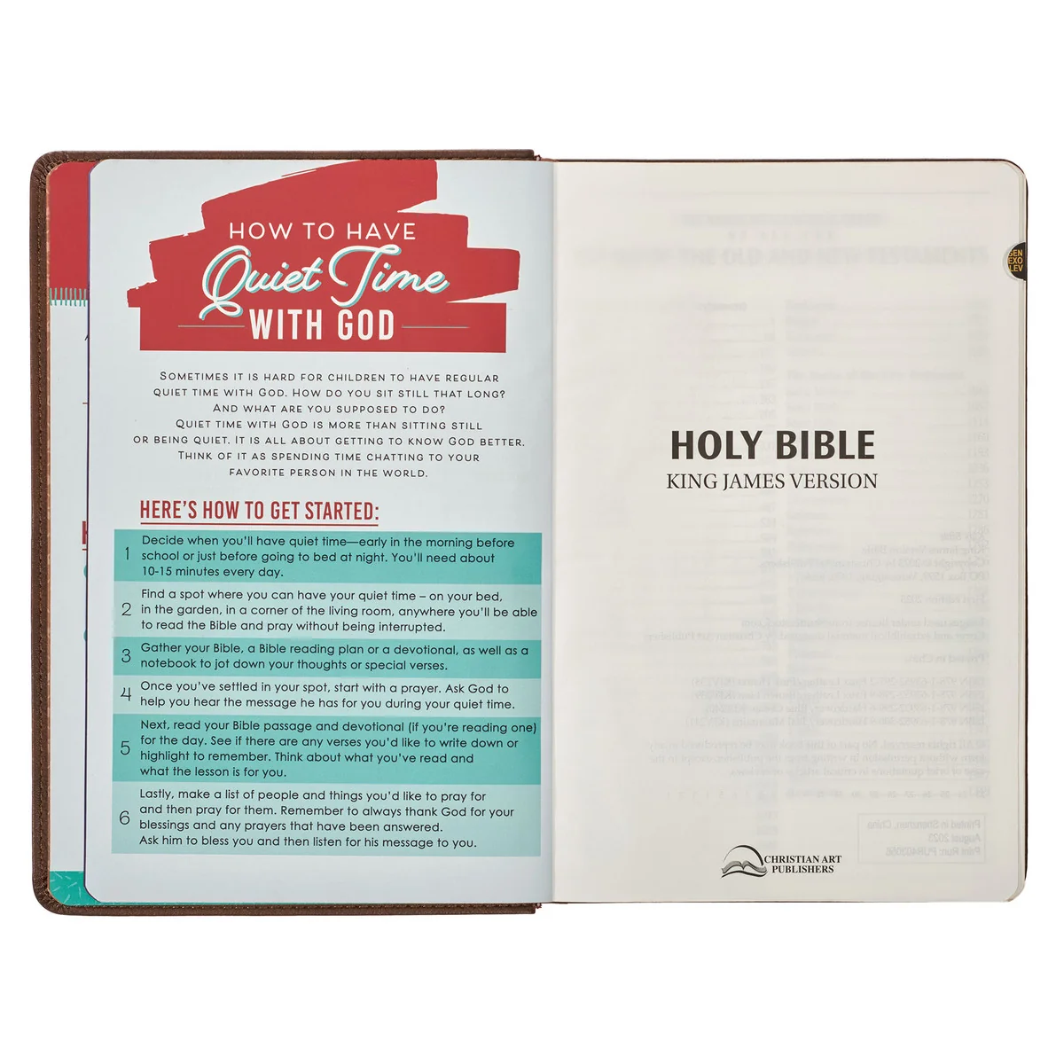 KJV Brown Lion Faux Leather Children's Bible KJV239 - Image 10