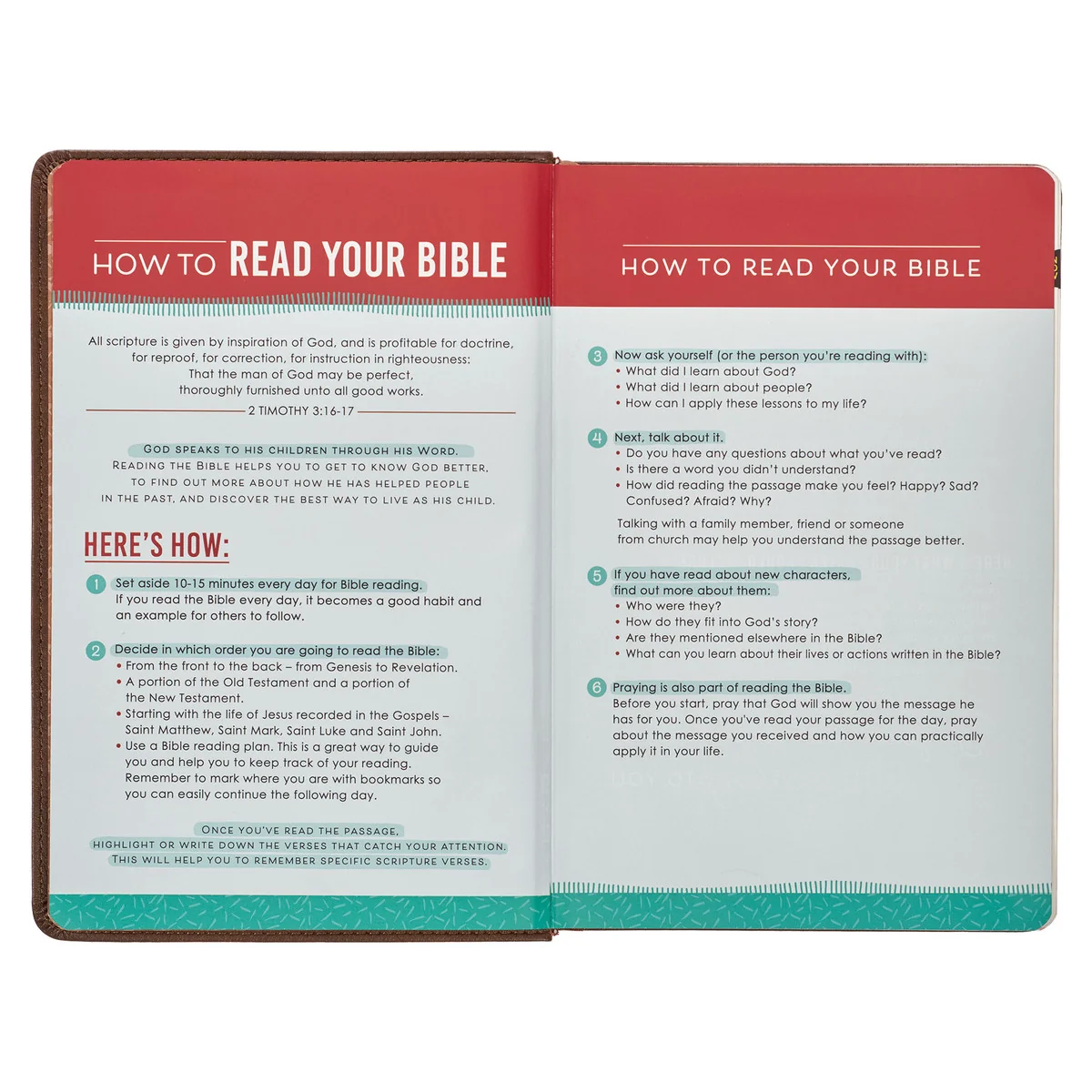 KJV Brown Lion Faux Leather Children's Bible KJV239 - Image 4