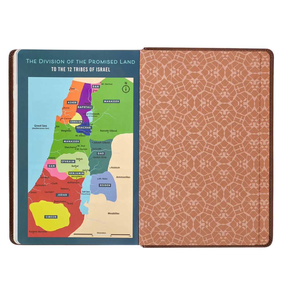 KJV Brown Lion Faux Leather Children's Bible KJV239 - Image 6