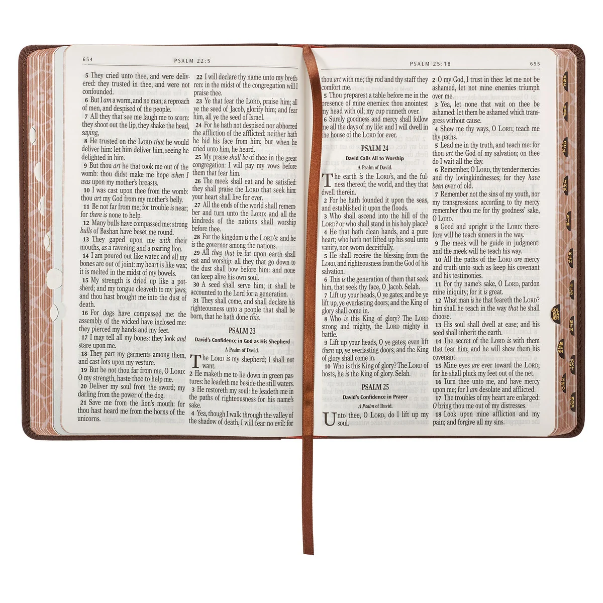 KJV Brown Lion Faux Leather Children's Bible KJV239 - Image 8