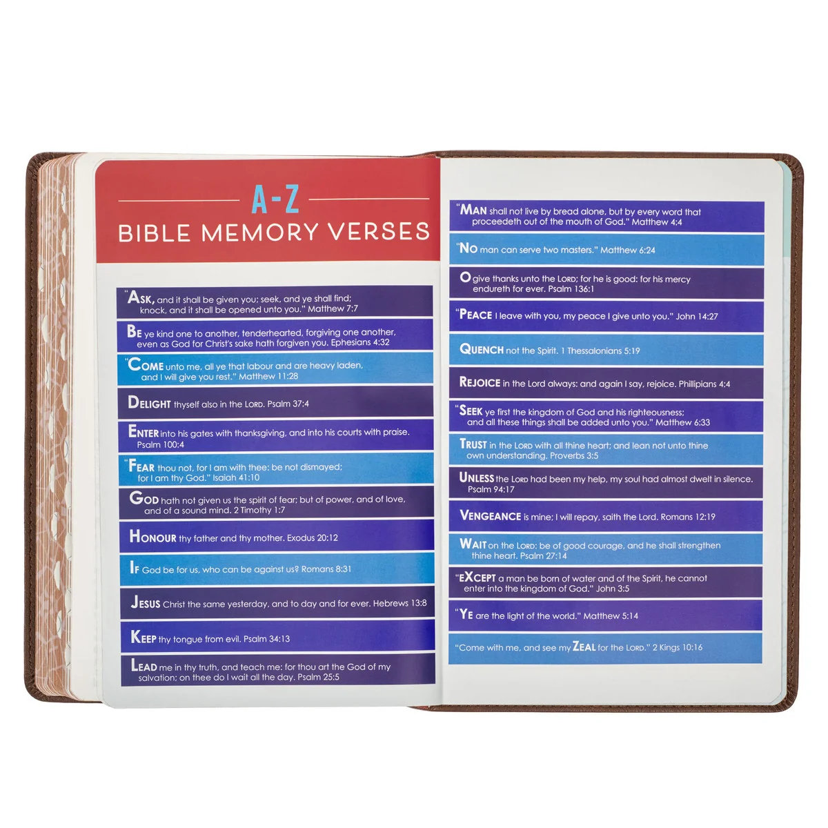 KJV Brown Lion Faux Leather Children's Bible KJV239 - Image 9