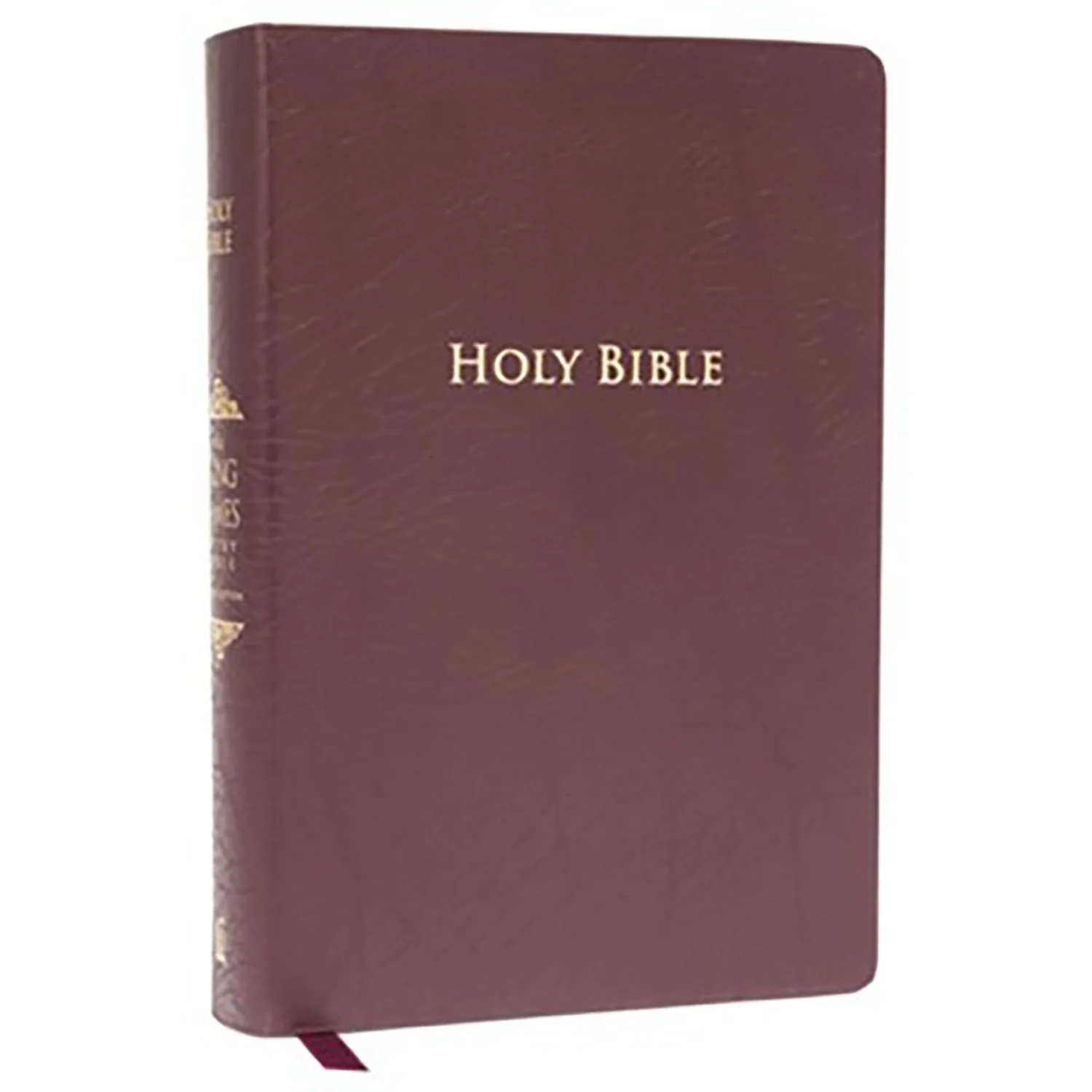 KJV Burgundy Indexed Study Bible 9781401680367