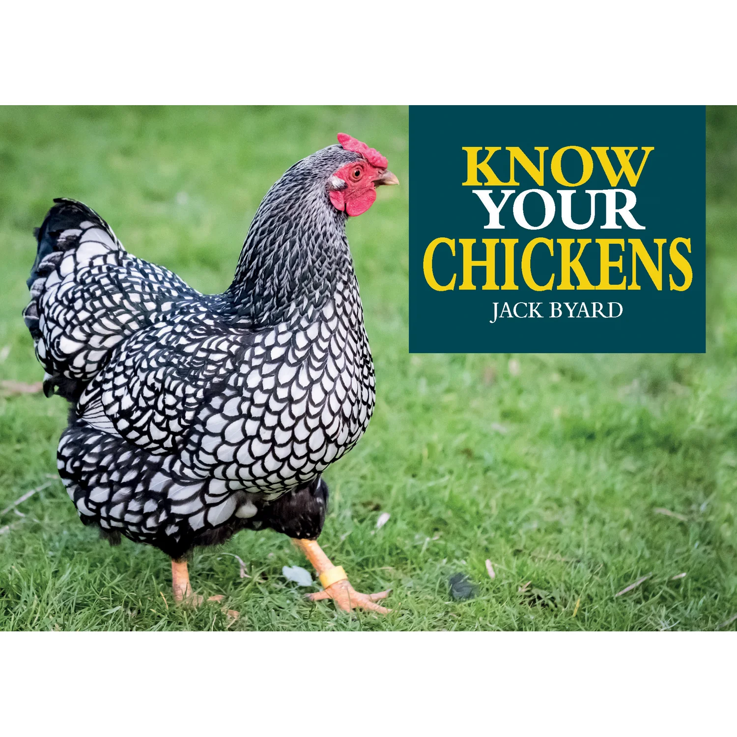 Know Your Chickens Book by Jack Byard 9781912158478