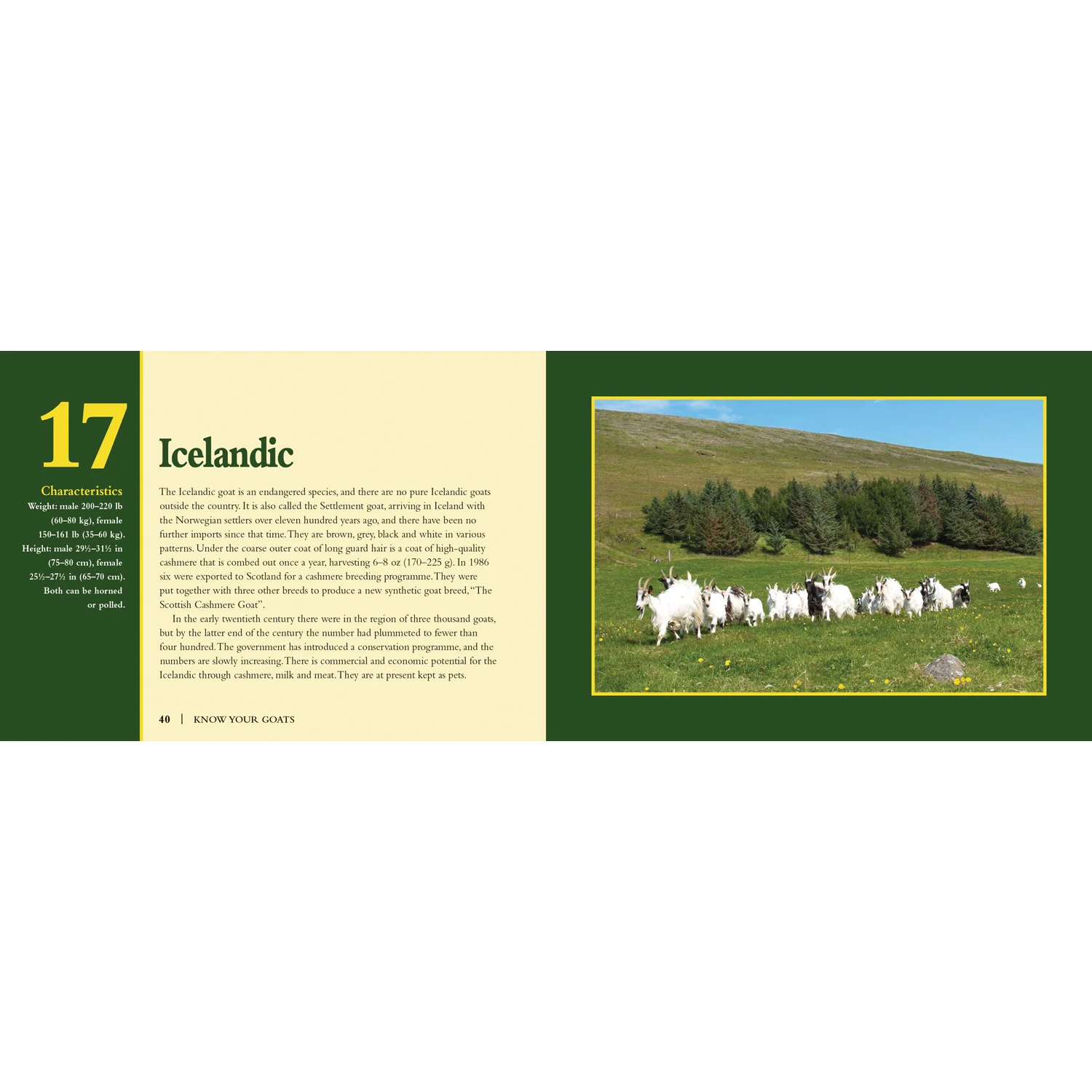 Know Your Goats Book by Jack Byard 9781912158485 - Image 4
