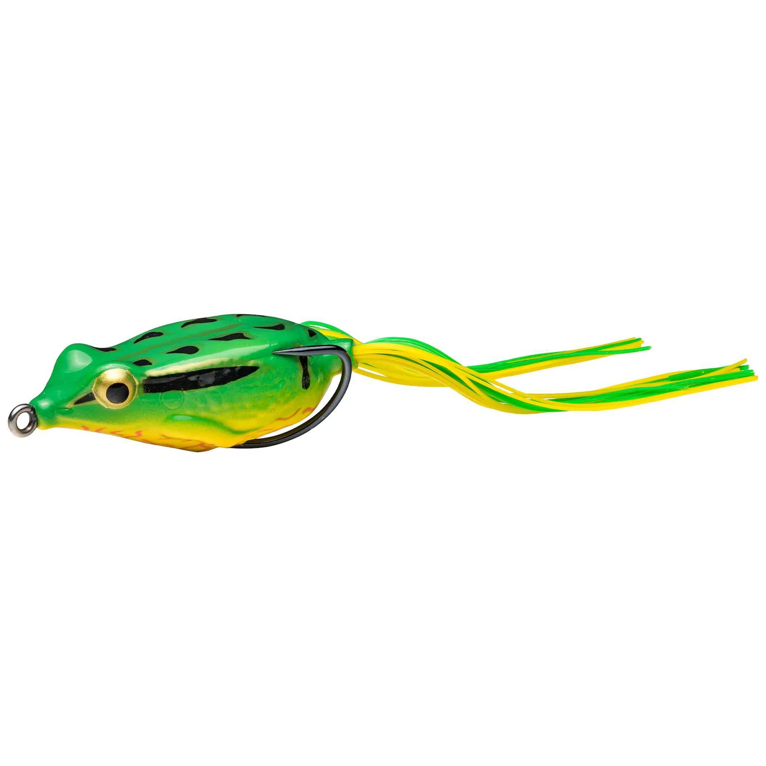KVD Sexy Frog SFKVD