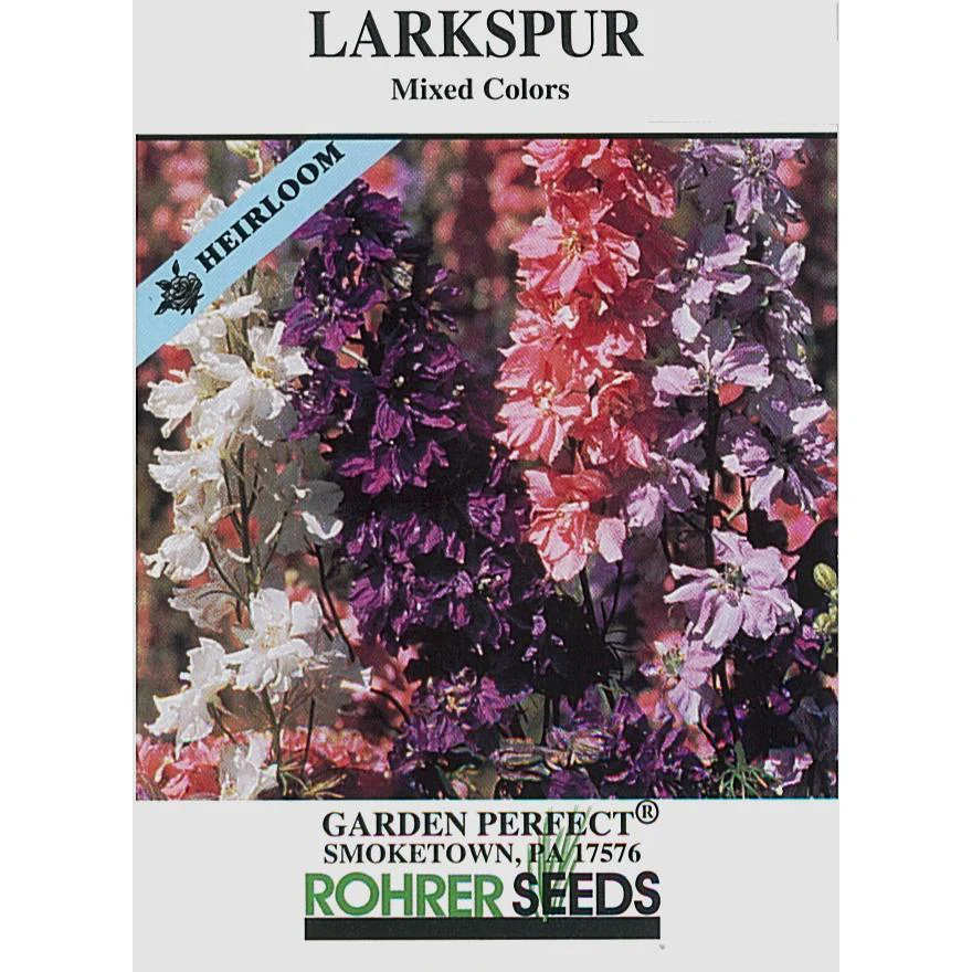 Larkspur Seeds 9933700