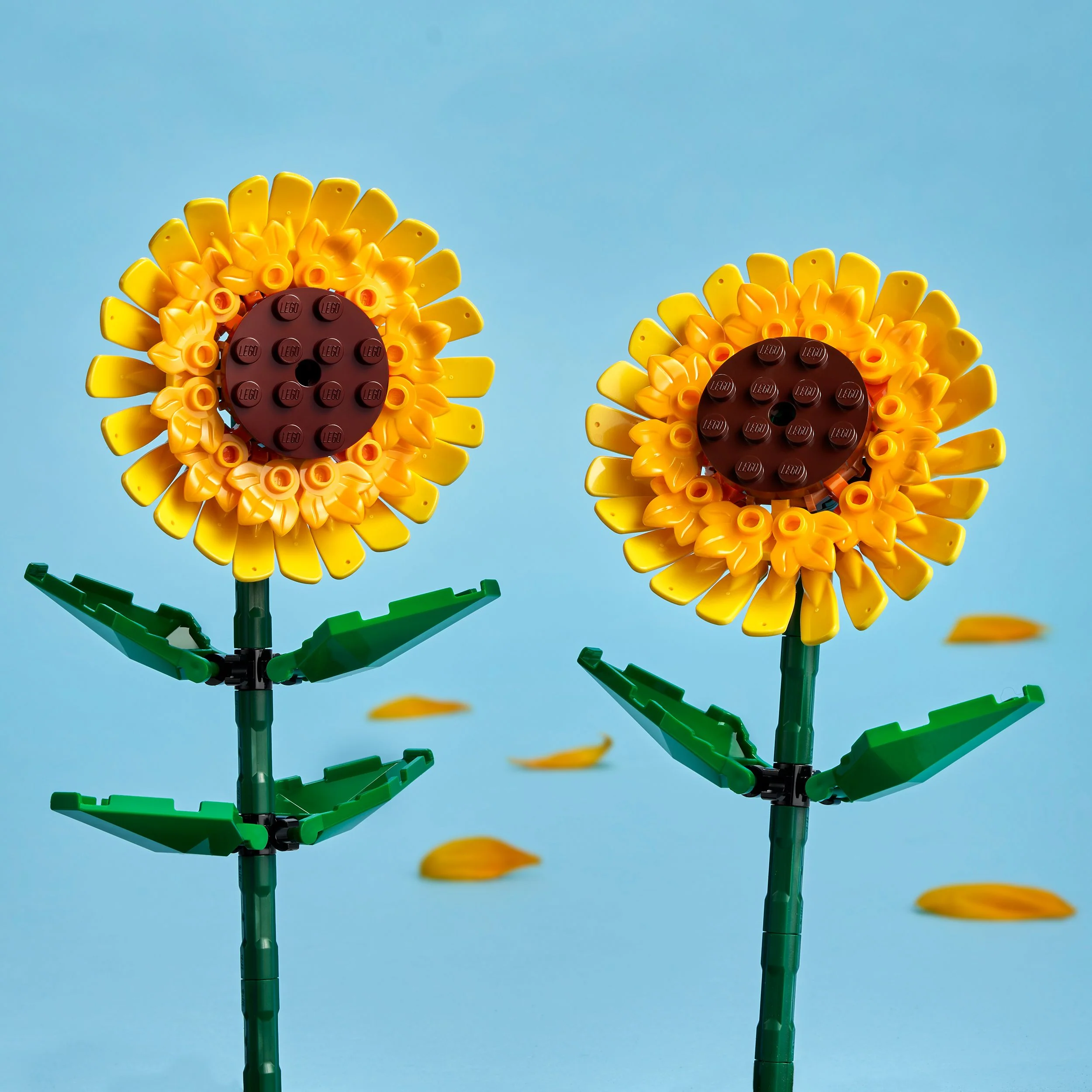 LEGO Botanicals Sunflowers Building Set 40524 - Image 4
