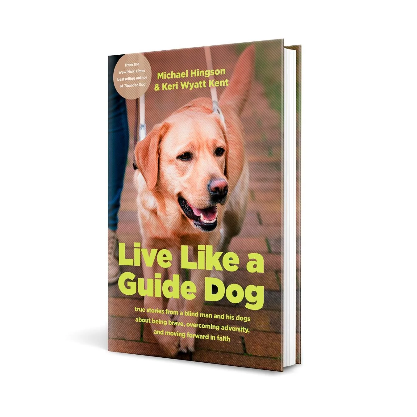 Live like a Guide Dog 89739 - Image 3