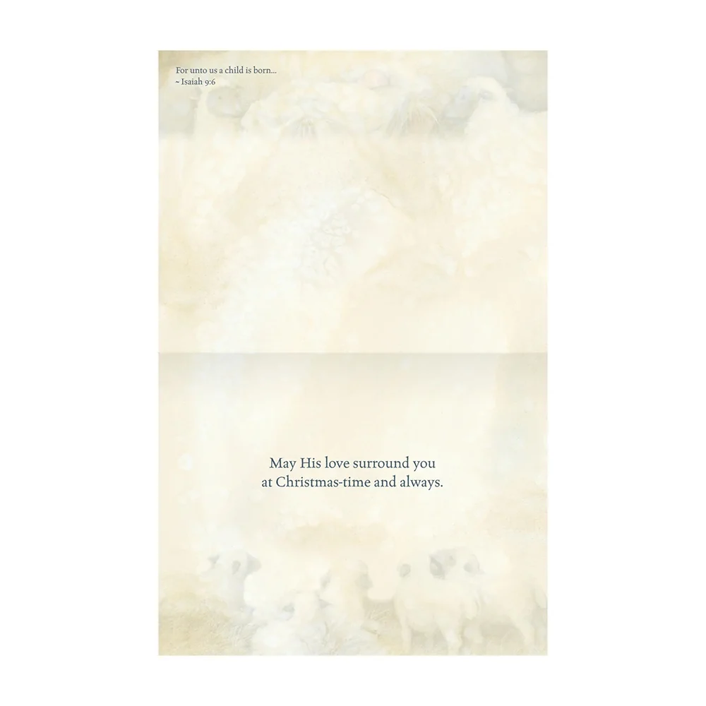 Nativity Christmas Boxed Cards 1008105 - Image 2