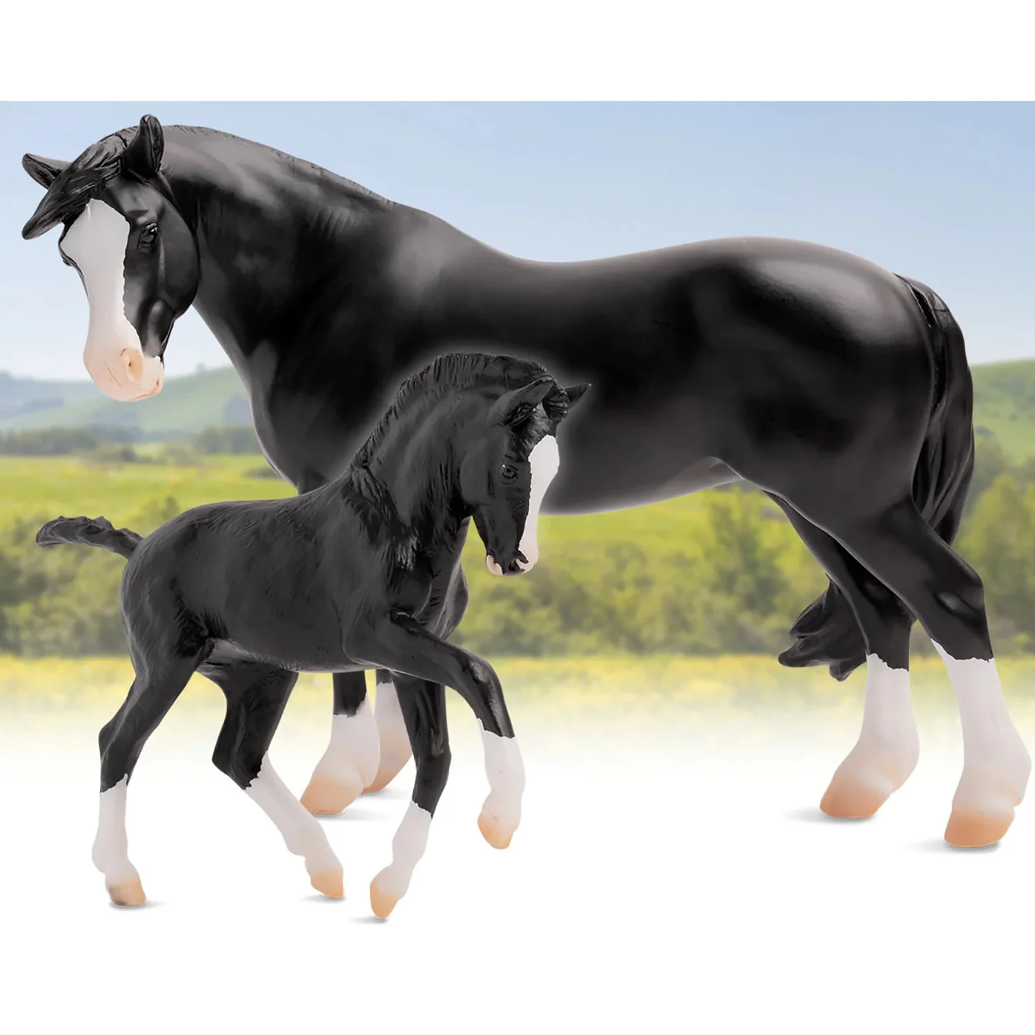 Nistar Blazing Kansas and Blazing Ethel 1857 - Image 3
