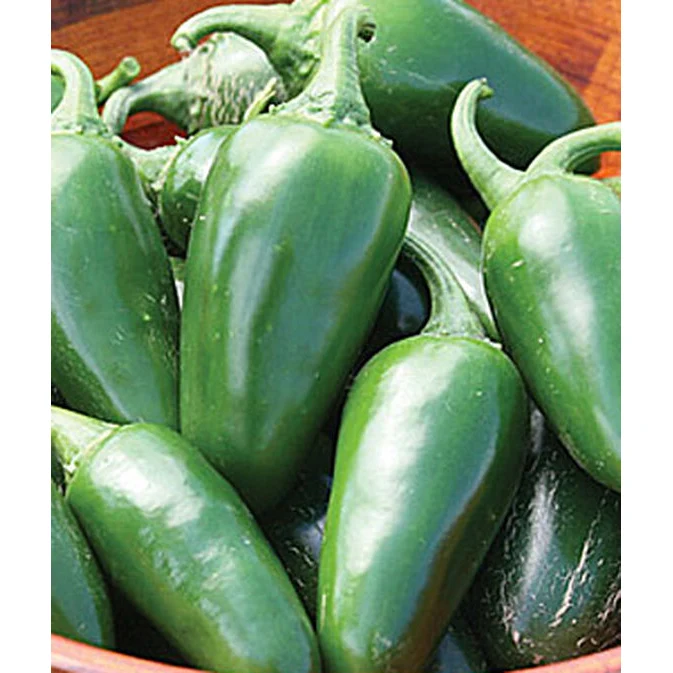 Organic Jalapeno Peppers Seed Pack 60500