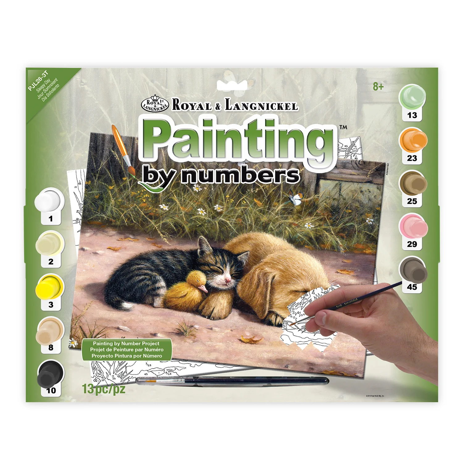 Paint By Numbers Sleepy Day PJL28