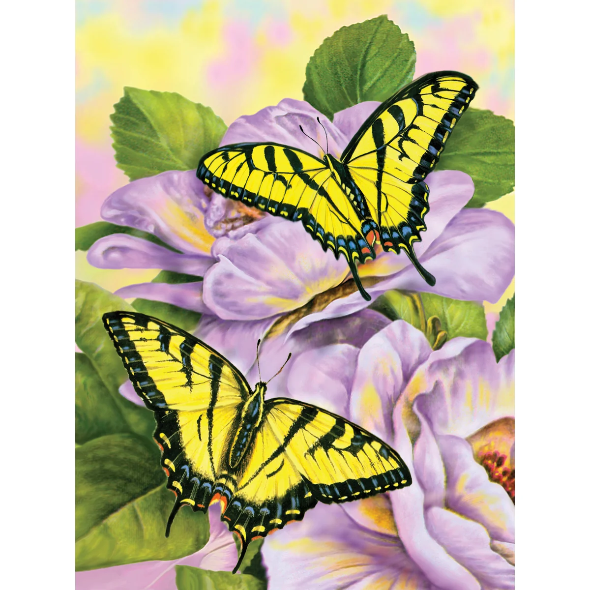 Paint by Numbers Swallowtail Butterfly PJS69