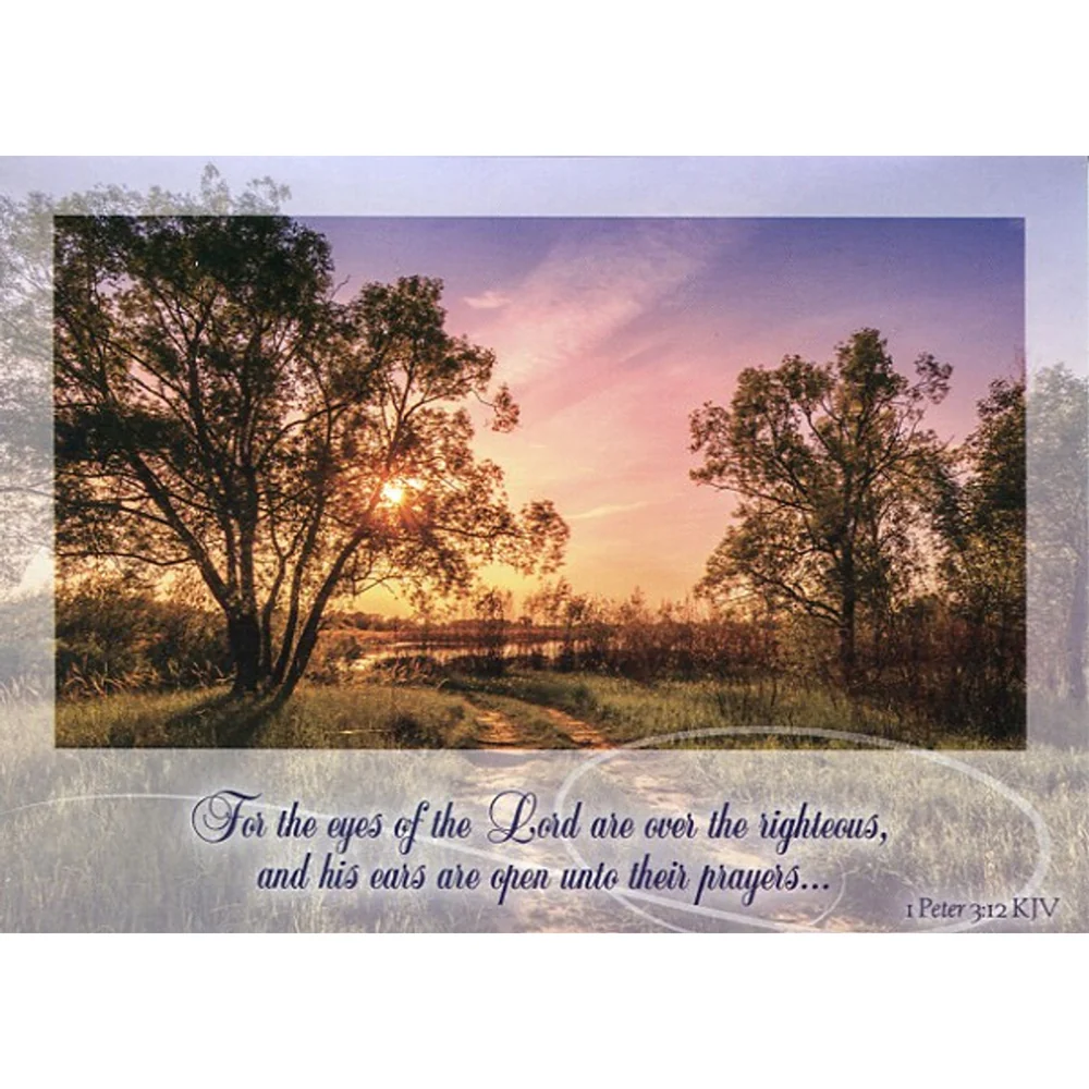 Pathways Get Well Boxed Cards FT22613 - Image 6