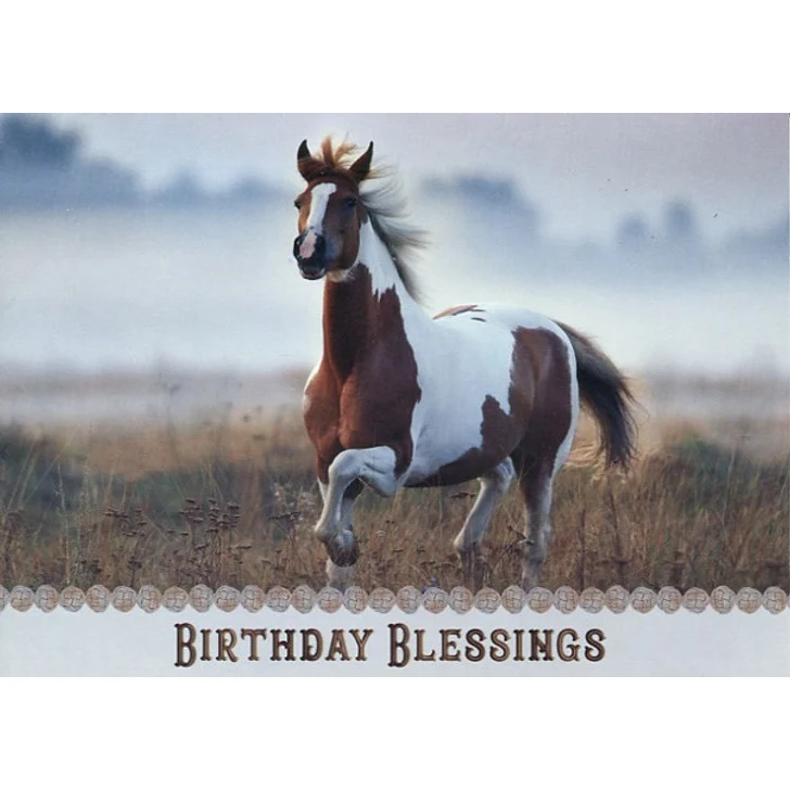 Peaceful Moments Birthday Boxed Cards FT22585 - Image 2