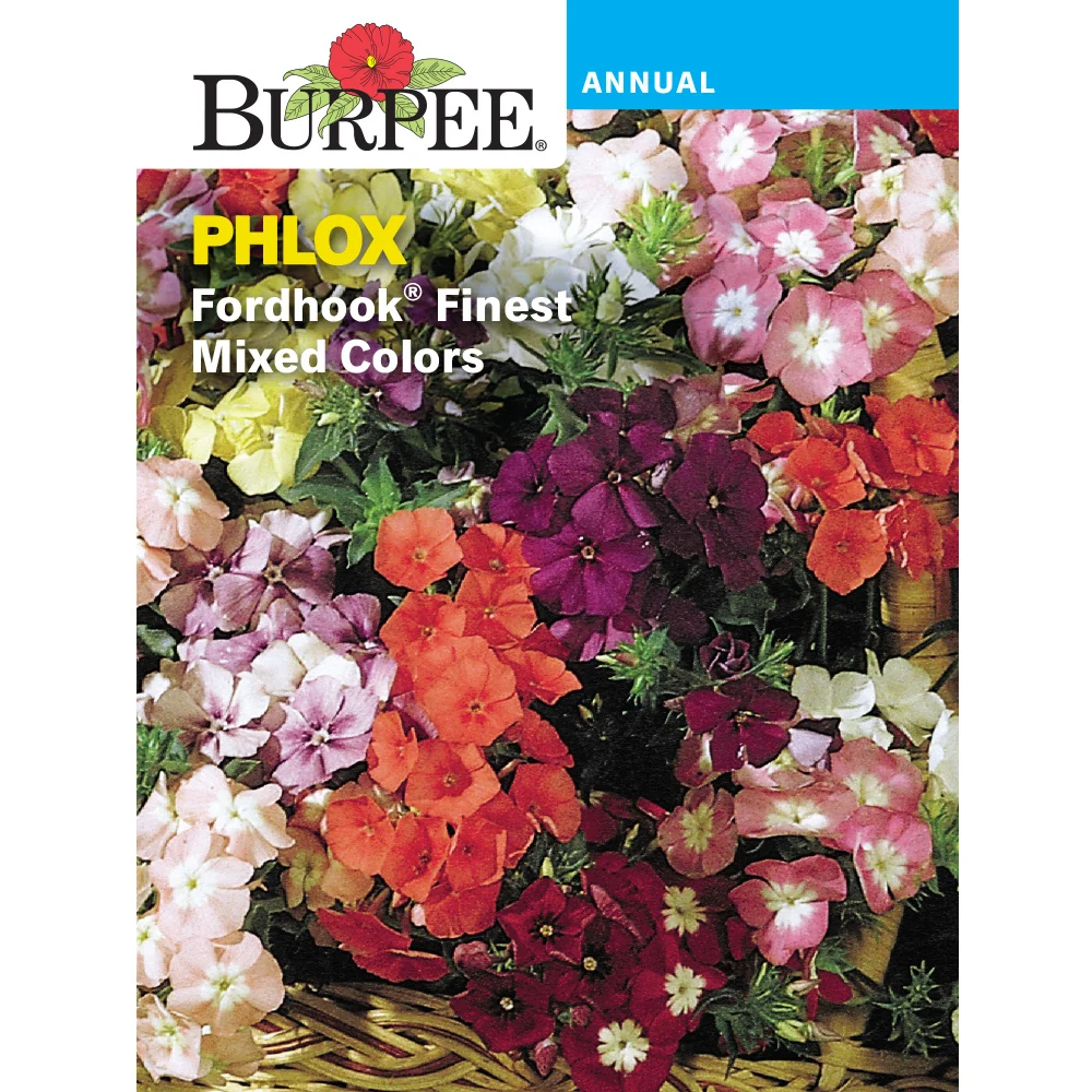 Phlox Flower Seed Pack 41939