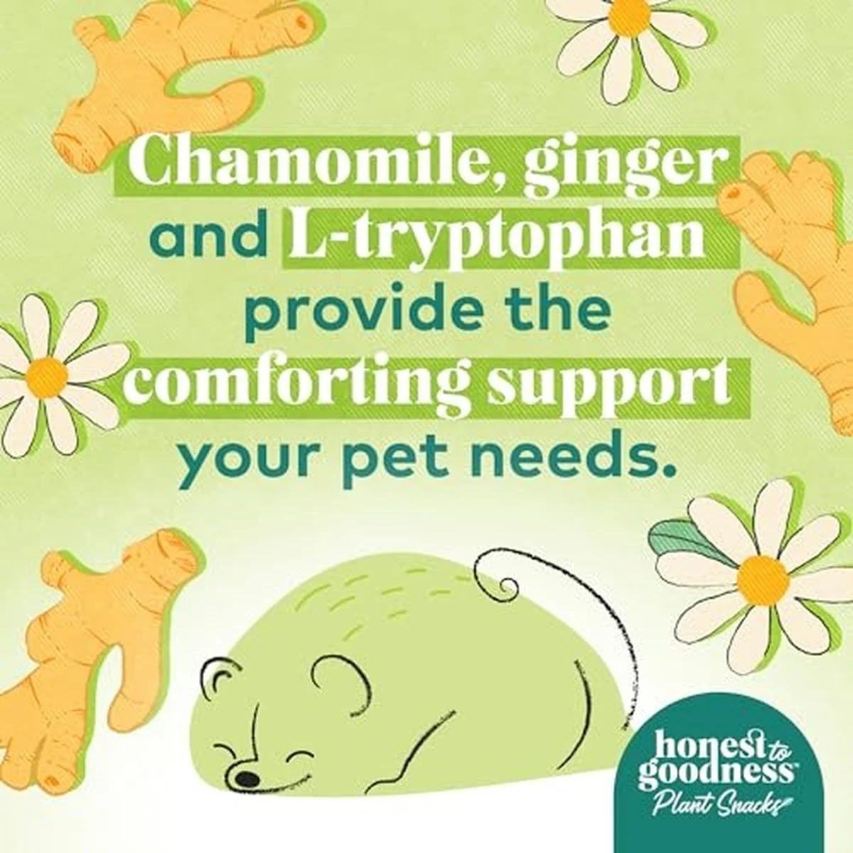 Plant Snacks Chamomile & Ginger Good Vibes Crunchy Dog Treats 8 oz - Image 4