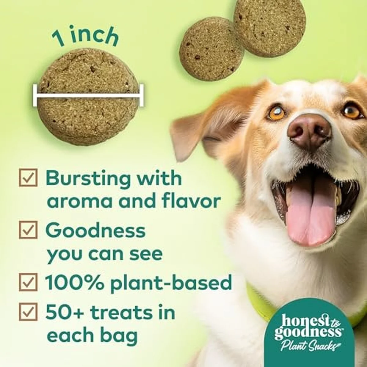 Plant Snacks Coconut & Flax Way to Glow Crunchy Dog Treats 8 oz - Image 2