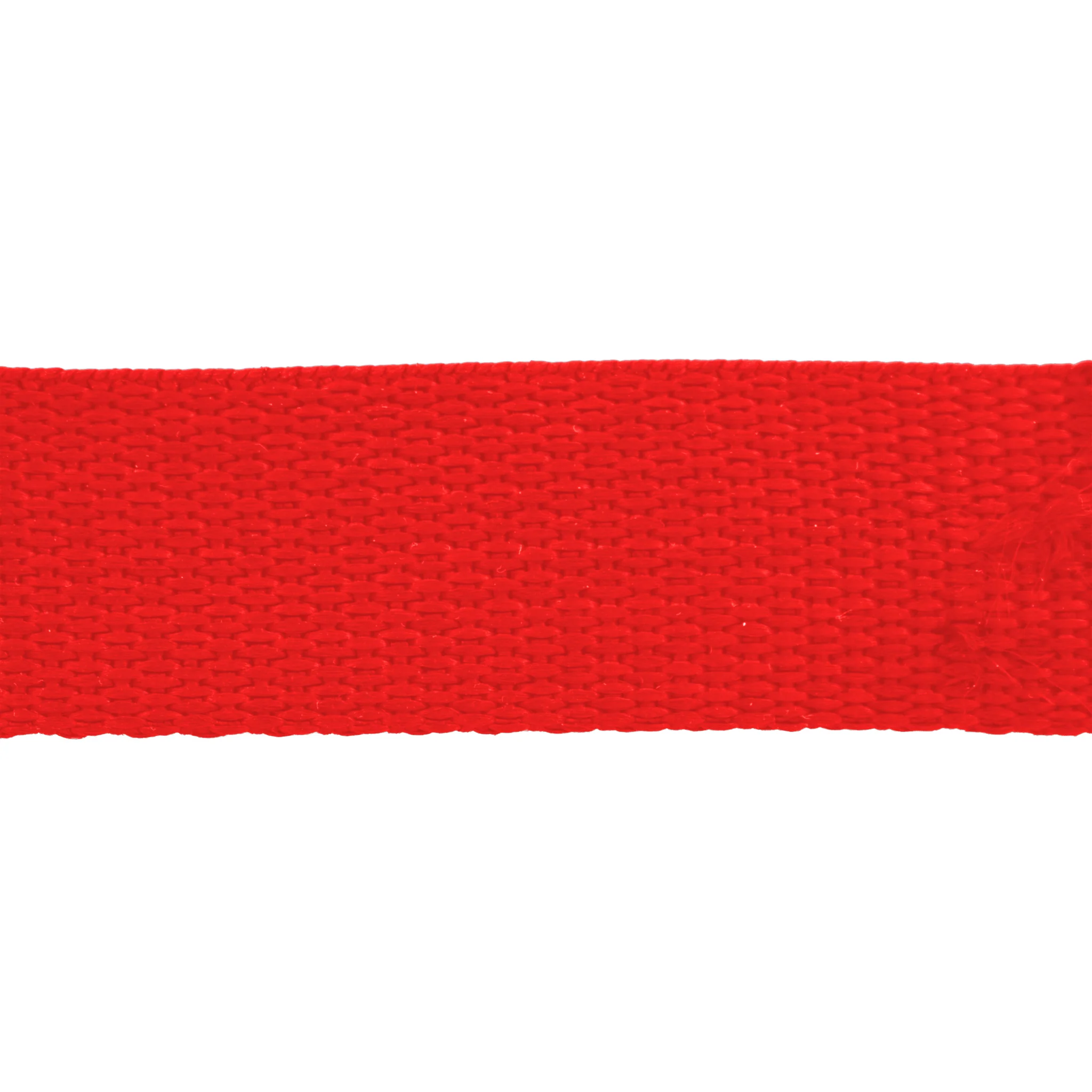 Polyester Webbing Strapping by the Yard PPW 1-inch Wide