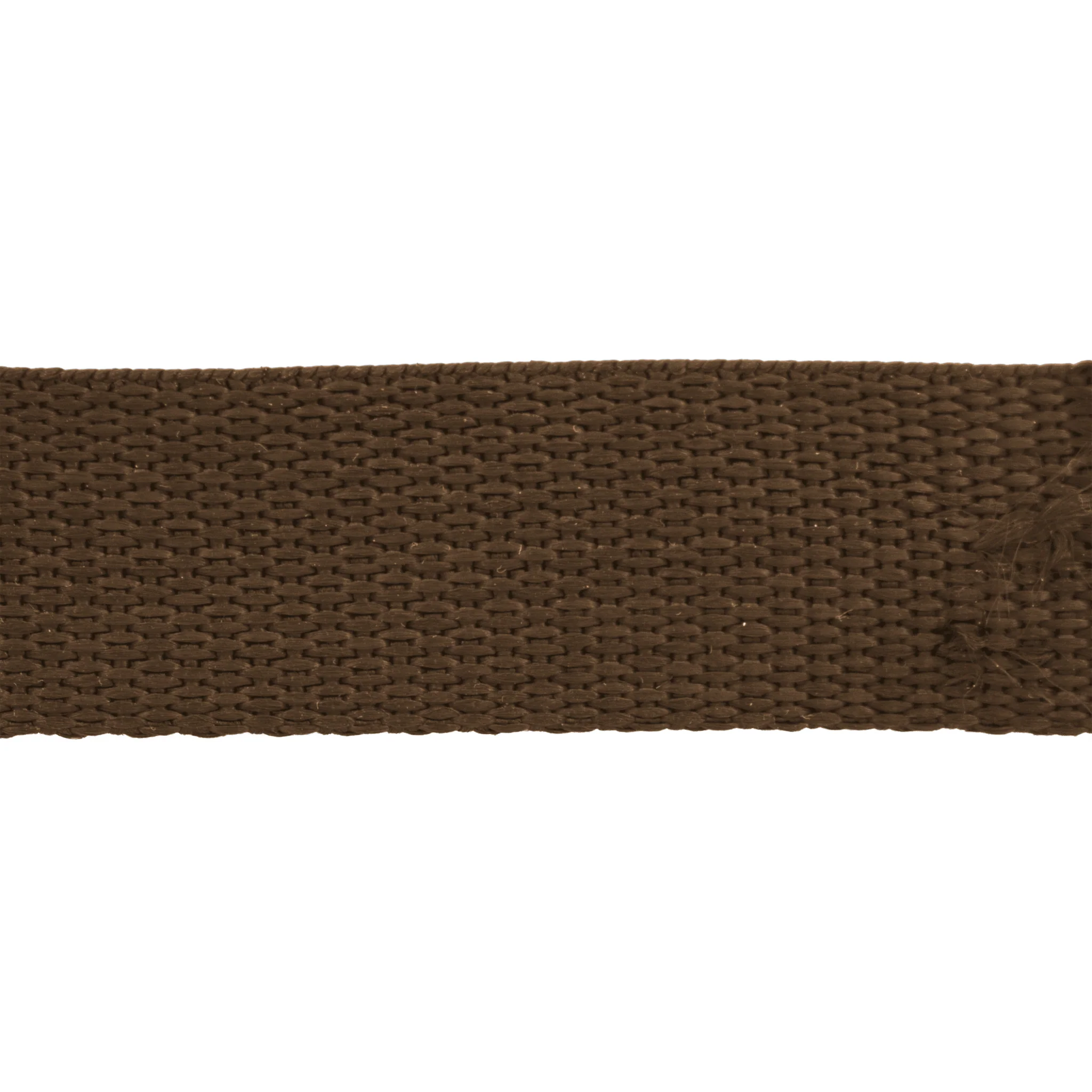 Polyester Webbing Strapping by the Yard PPW 1-inch Wide - Image 7