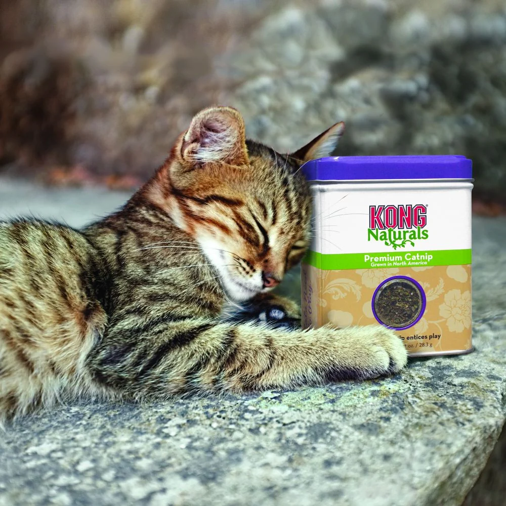 Premium Catnip CN2 - Image 2