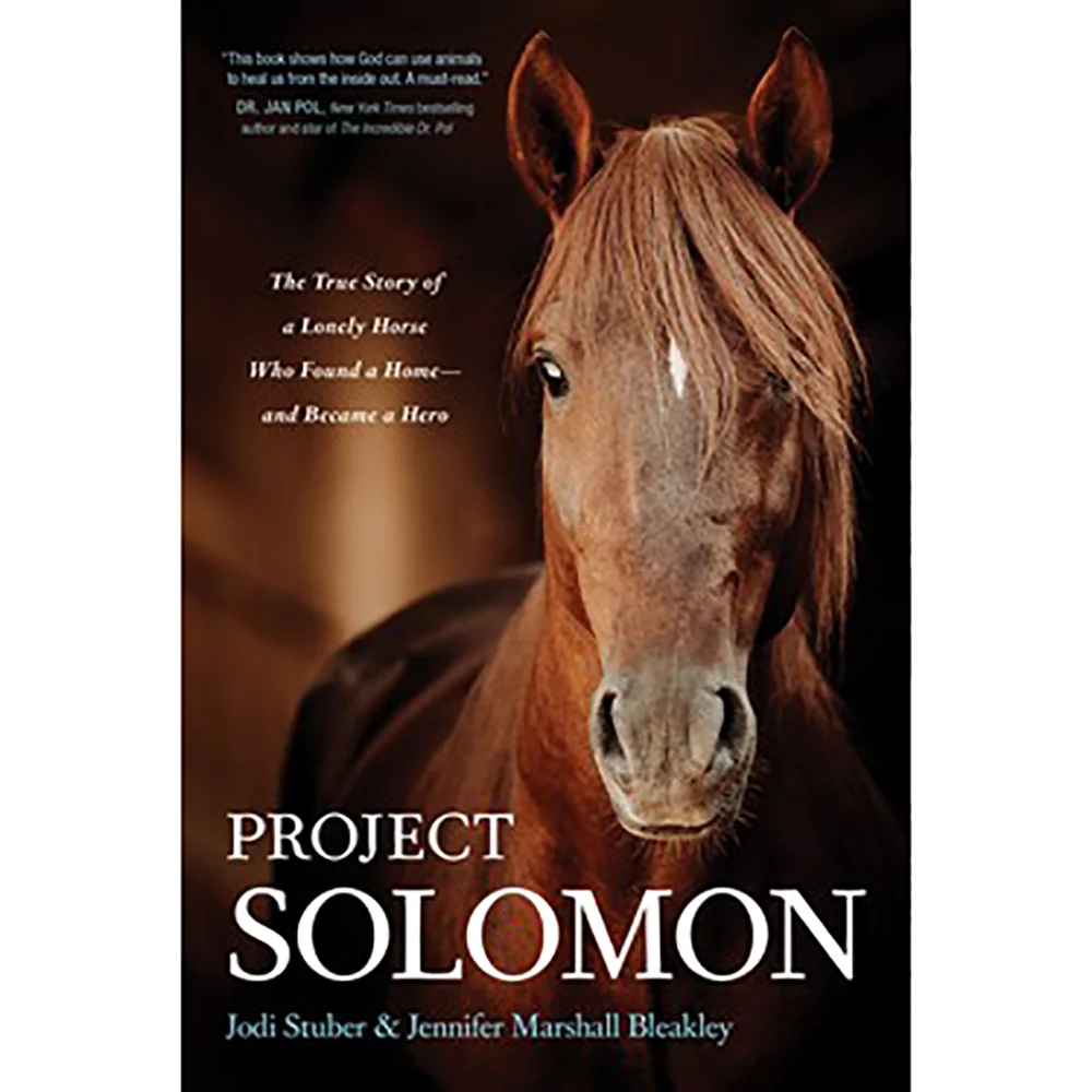 Project Solomon 55314