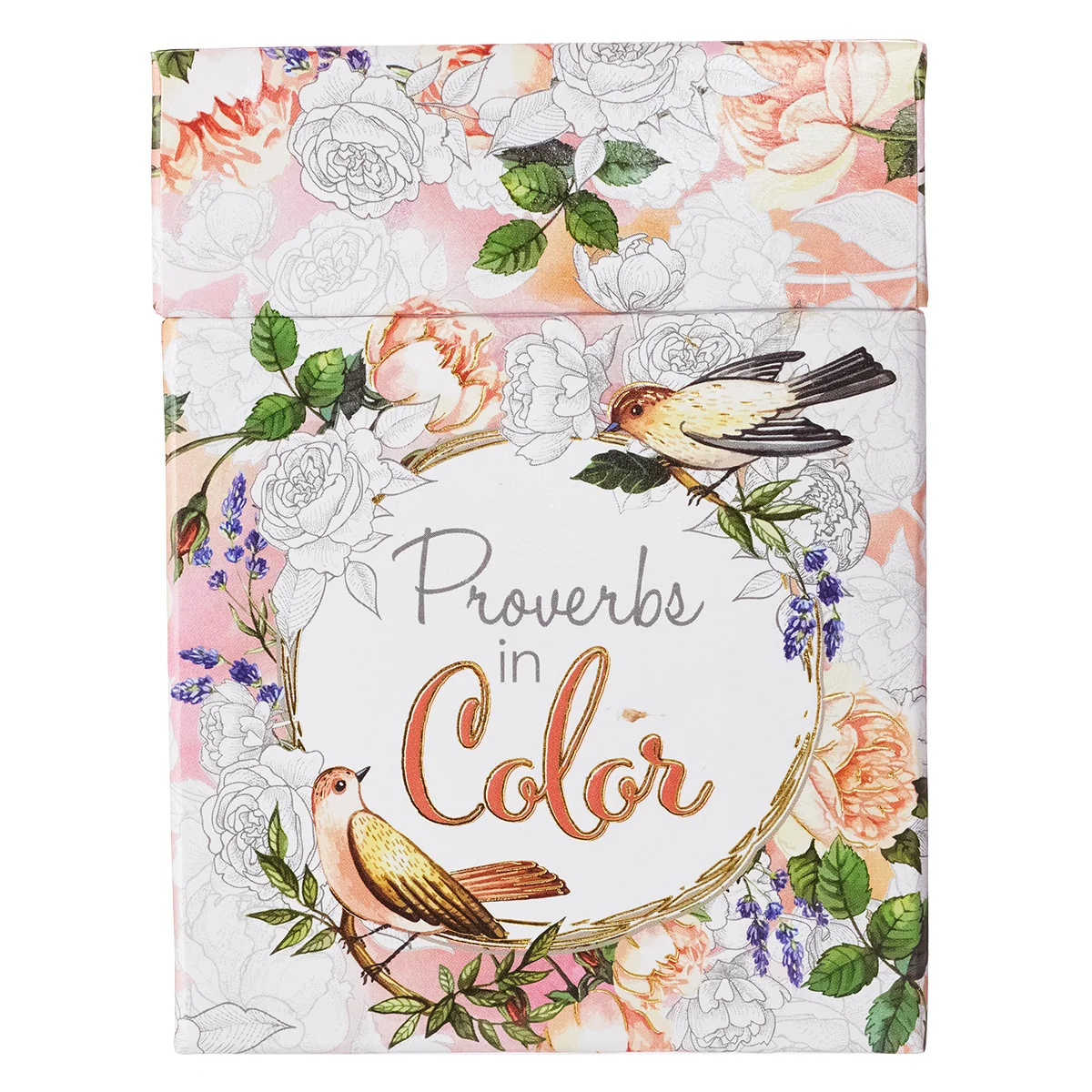 Proverbs In Color Coloring Cards CBX006