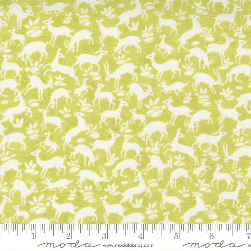 Pumpkins and Blossoms Collection Cotton Fabric 20422 - Image 3