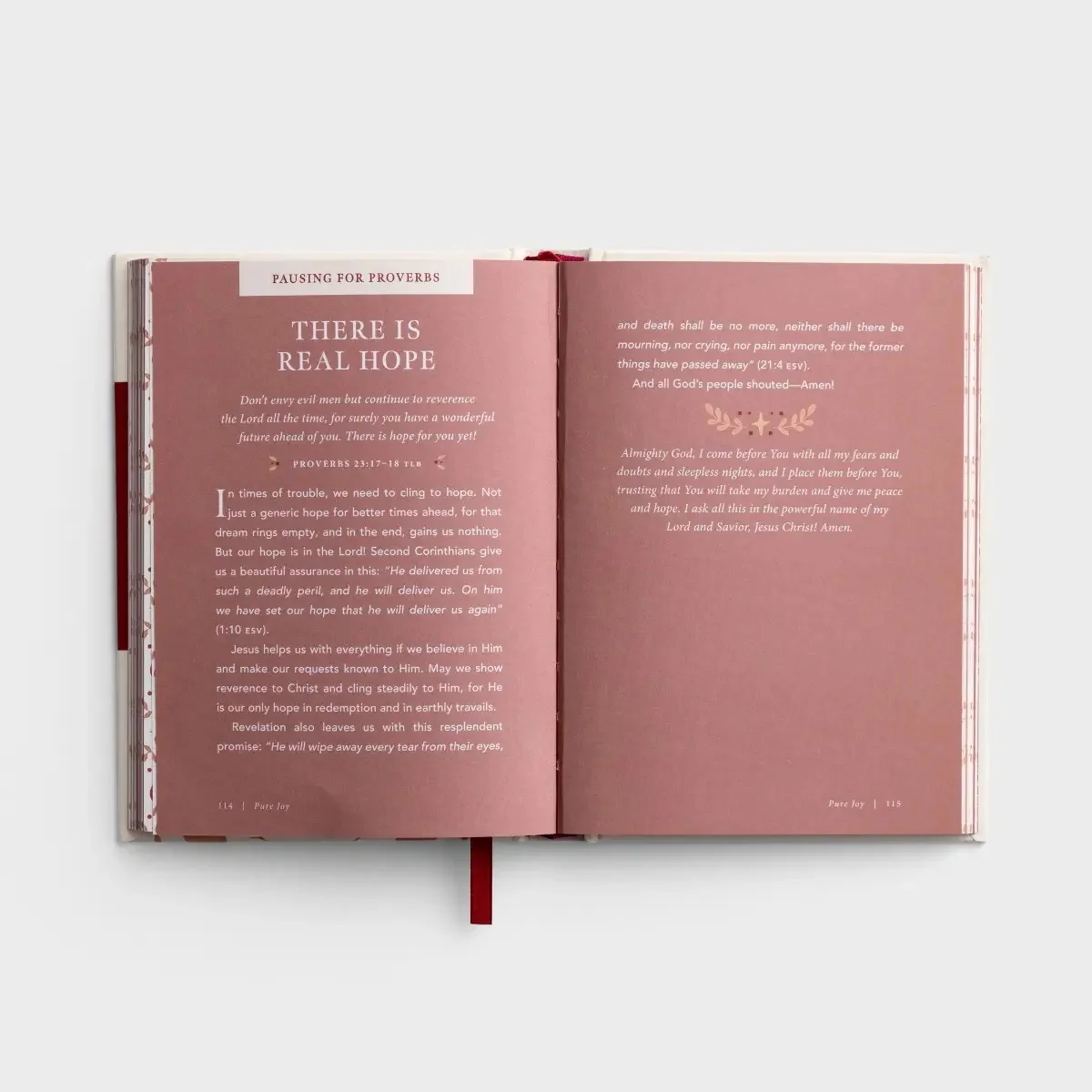 Pure Joy: 90 Devotions on the Book of James J9613 - Image 4
